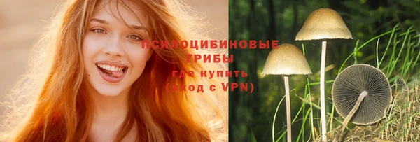 а пвп мука Аркадак