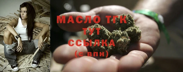 хмурый Арсеньев