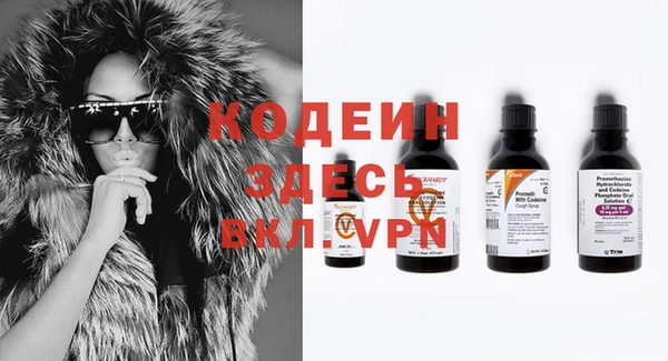 хмурый Арсеньев