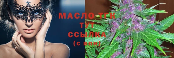 хмурый Арсеньев