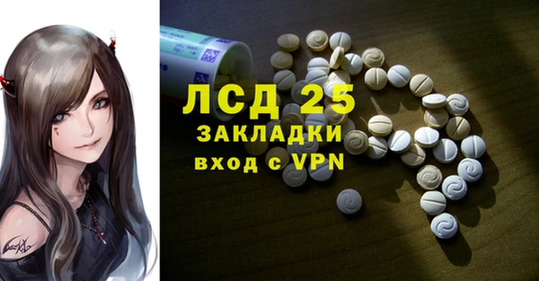 хмурый Арсеньев