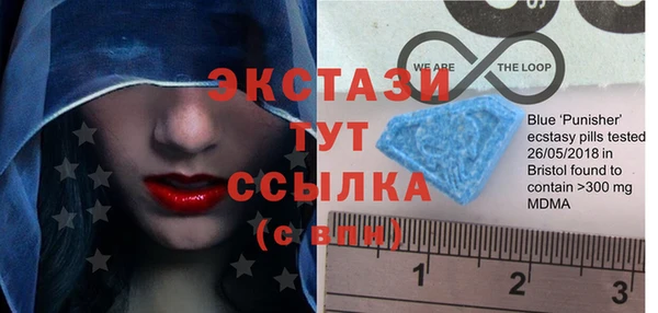 хмурый Арсеньев