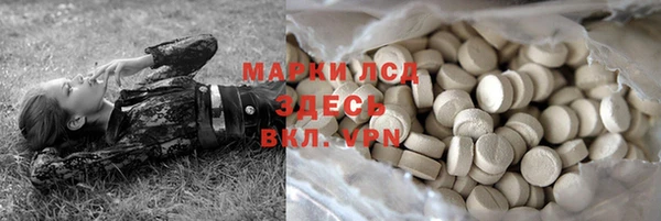 хмурый Арсеньев